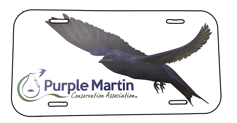 Purple Martin Custom License Plate