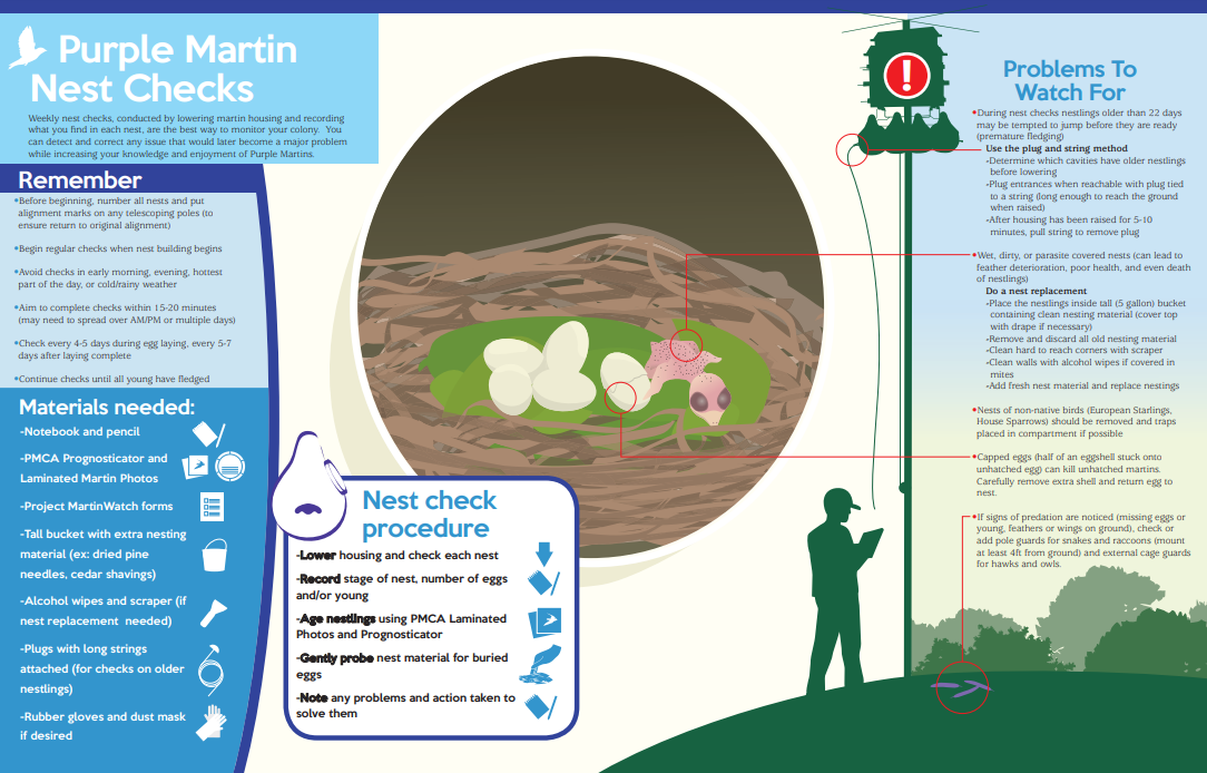 Nest Checks - Purple Martin Conservation Association