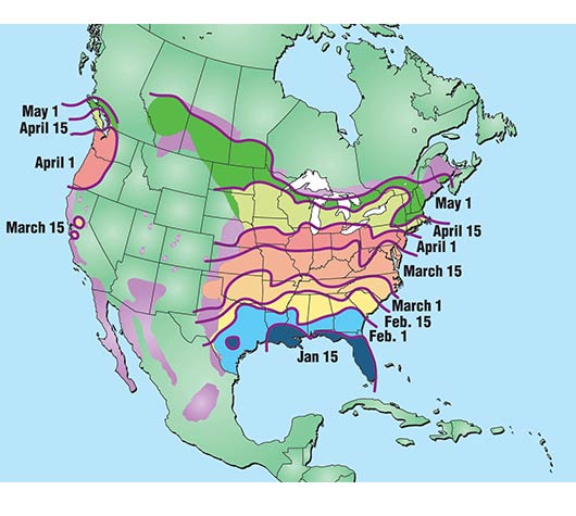 2017 Hummingbird Migration Chart