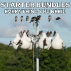 Gourd Bundle Ad